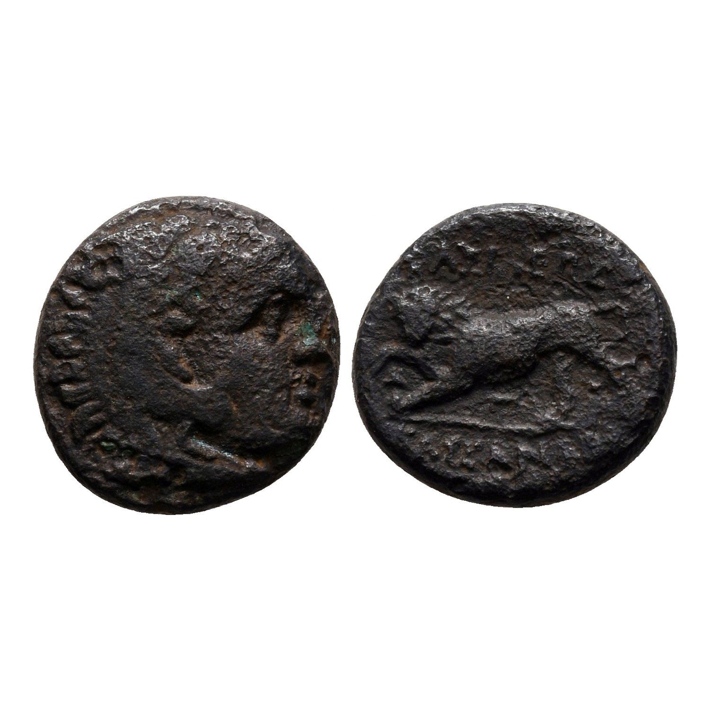 Regno Di Macedonia – Cassandro I – Æ 15 – Leone